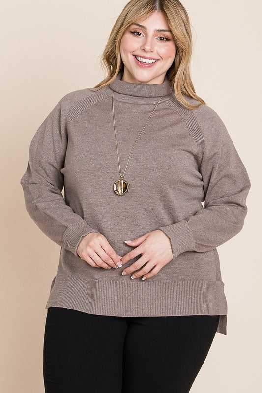 Buttery Soft Solid Knit Turtleneck Sweater